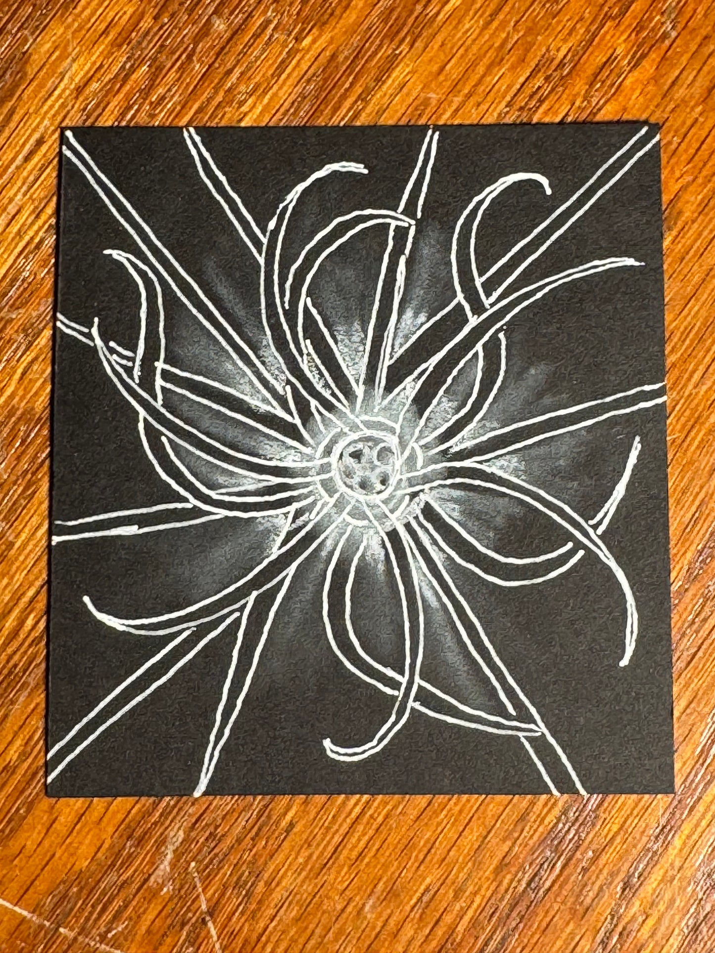August 23rd Workshop: The Relaxing Art of Zentangle Method