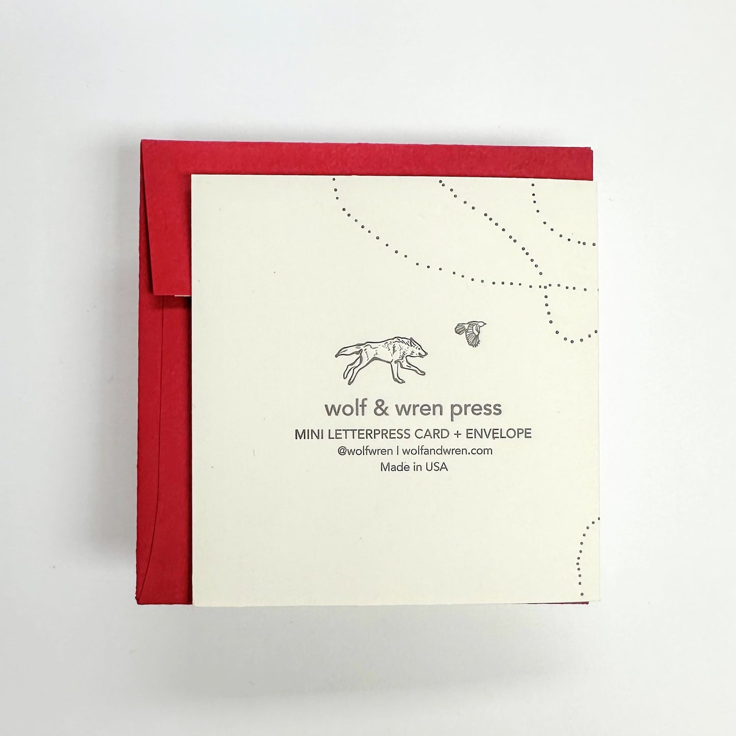 Paper Airplane Mini Card