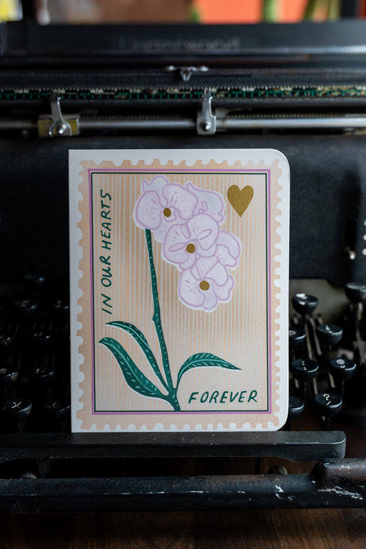 Forever Orchid