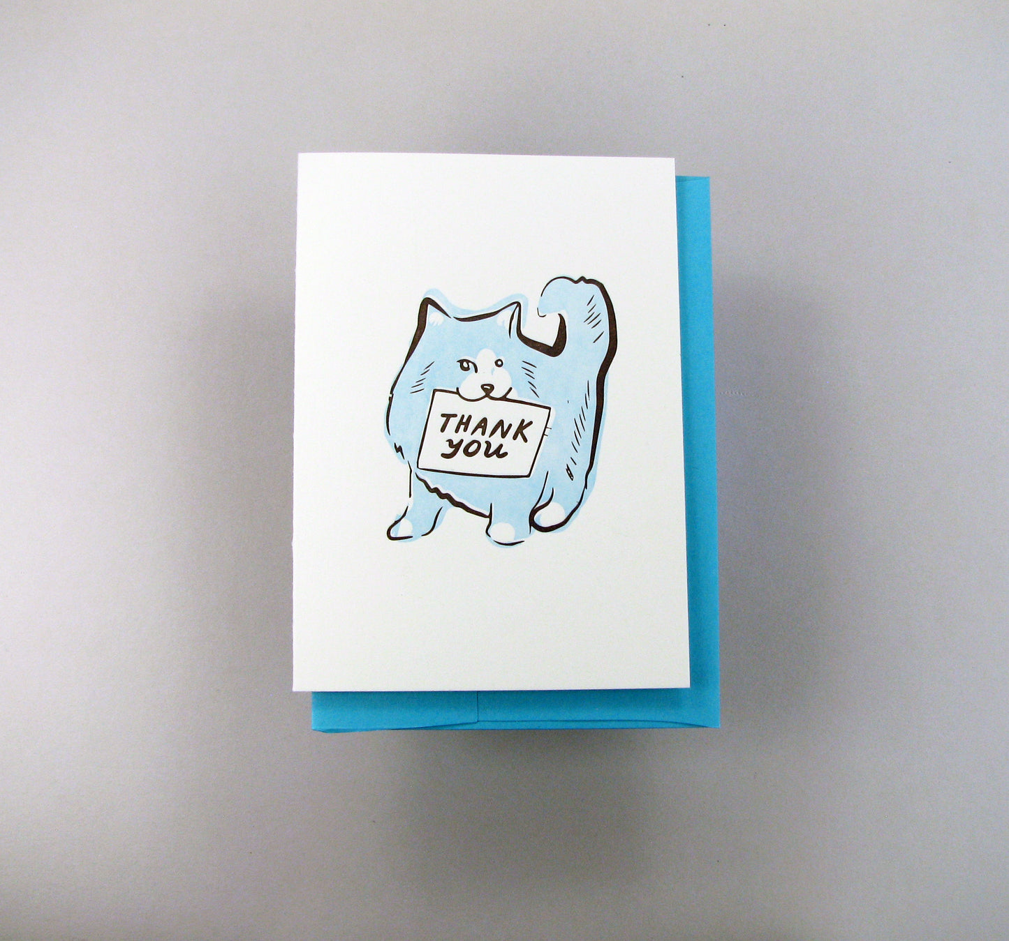 Cat Thank You
