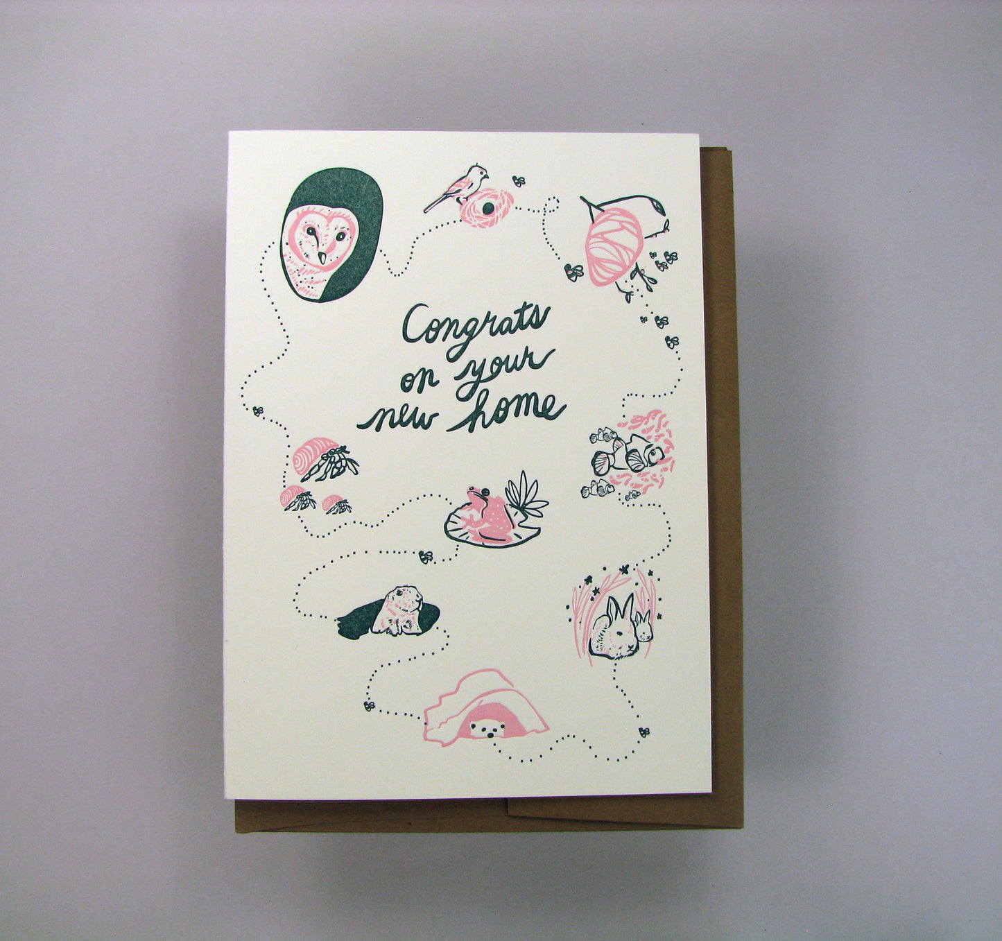 Congrats Animal Homes