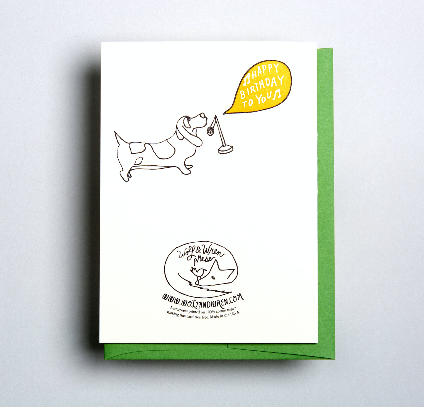 Animal Band Birthday