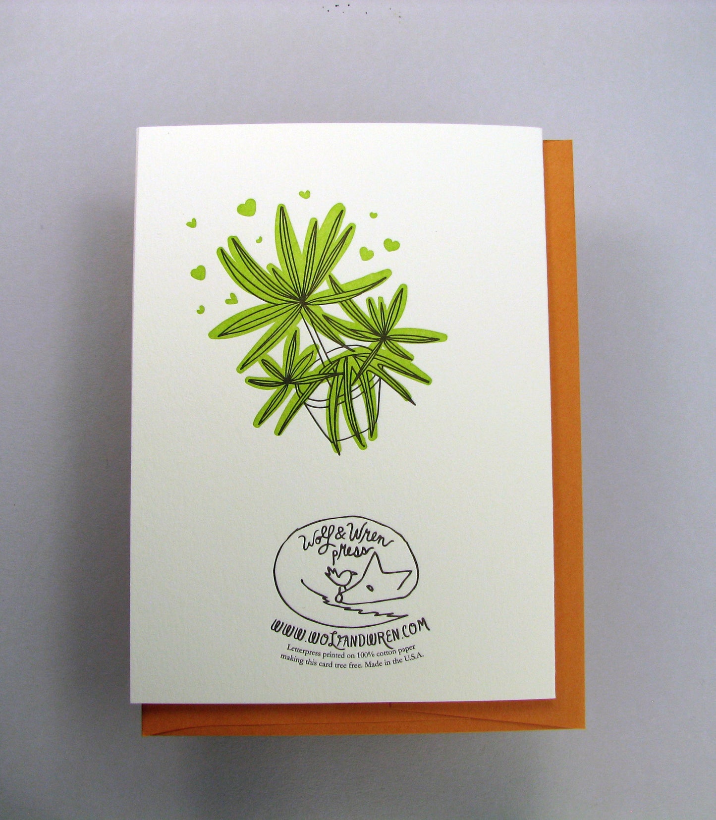 Plant Care Instructions