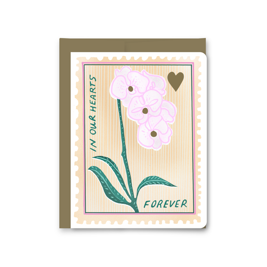 Forever Orchid