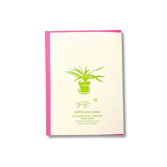 Plant Person Birthday