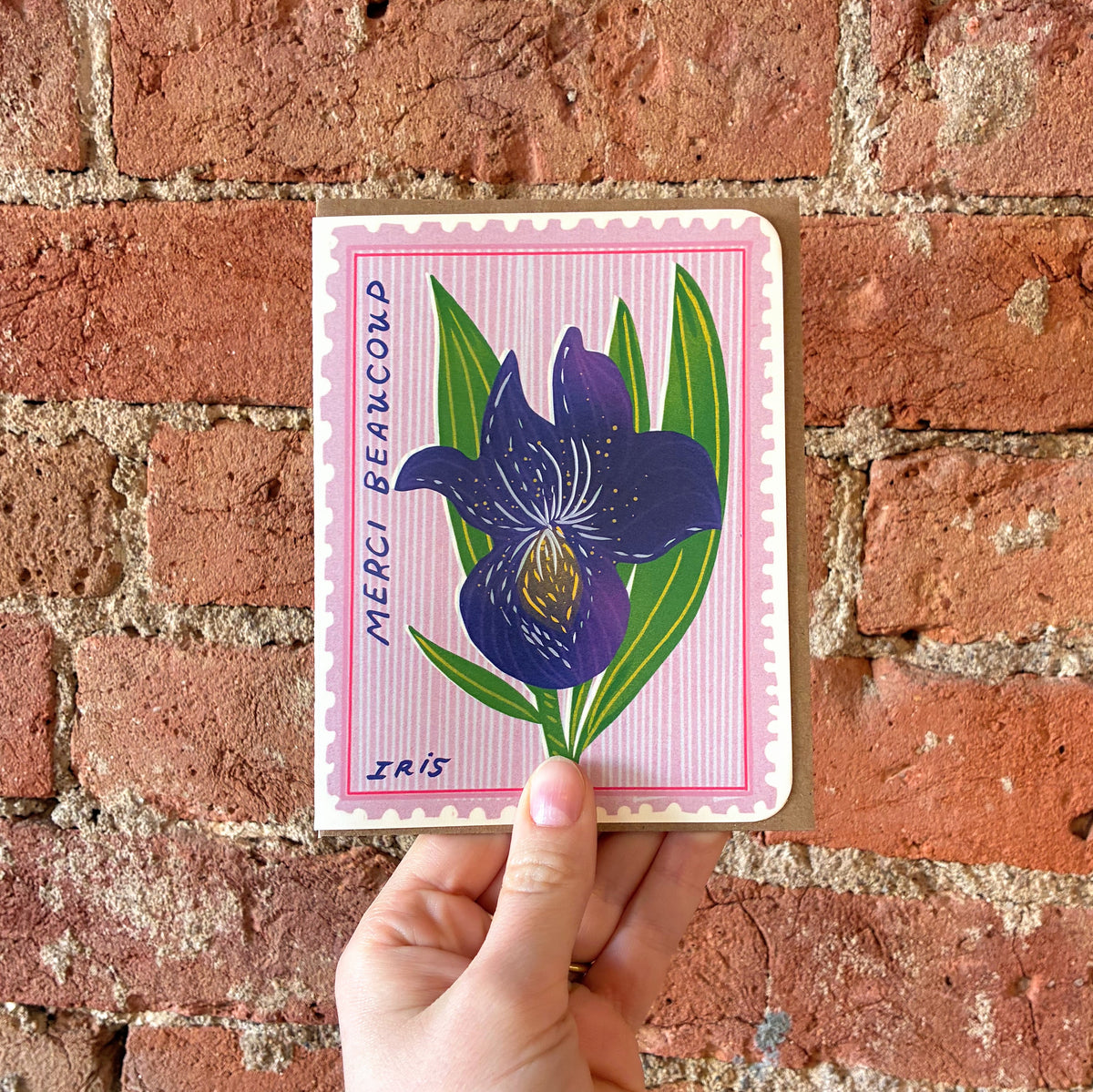 Merci Beaucoup Iris - Boxed Set of 6