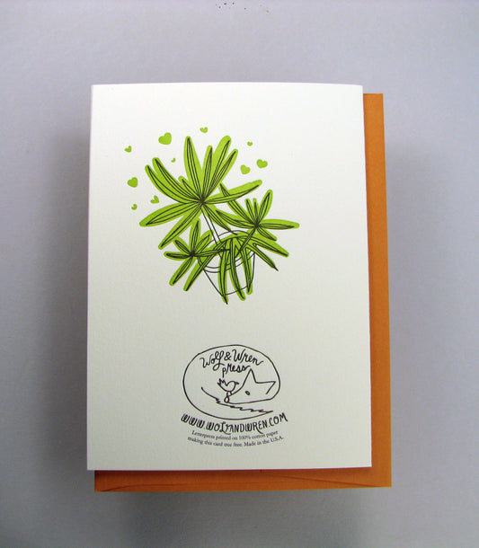 Plant Care Instructions